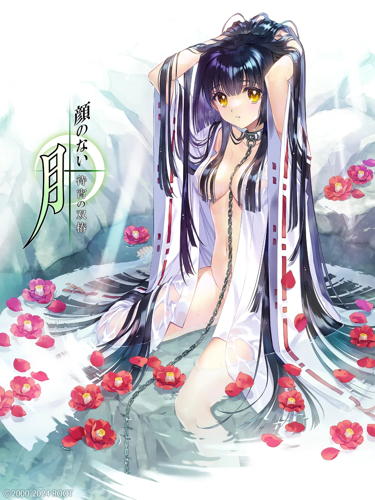 无颜之月-待宵双椿 无颜之月-待宵双椿 角色介绍与剧情资料 封面图